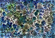 The Arcturian realm exposed van MY HAPPY SOUL ART thumbnail