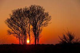 Zonsondergang