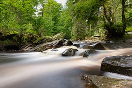 Roer bij Monschau van Leo Kramp Fotografie