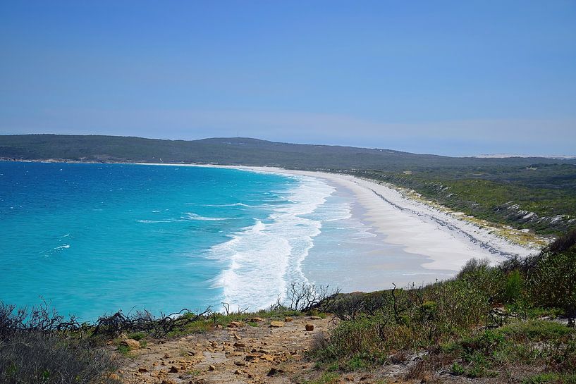 Perfect uitzicht op Back Beach van Frank's Awesome Travels