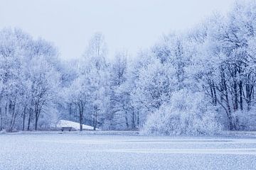Witte bomen aan bevroren meer van Karla Leeftink