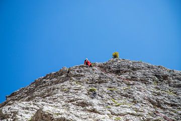 Aufstieg auf den Gipfel der Cinque Torri von Ton Tolboom