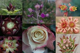 Bloemen Deco von Helga van de Kar