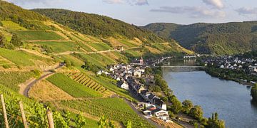 ein Sommerabend an der Mosel von Walter G. Allgöwer