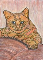 Oude wijze Kater