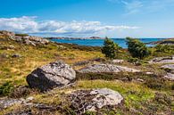 Landschaft auf der Schäreninsel Skjernøya in Norwegen von Rico Ködder Miniaturansicht