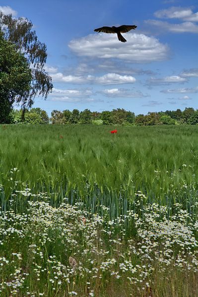 Wilde bloemen 4 van Edgar Schermaul