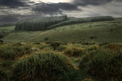 Dartmoor under threatening skies