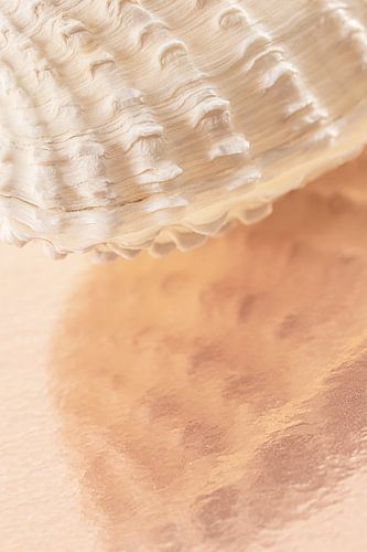 Abstracte weerspiegeling van schelp in oudroze - beige structuur