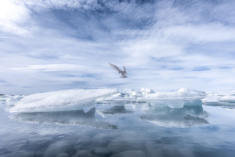 Lac Jökulsárlón Islande par Leon Brouwer