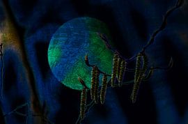 Concept nature : Witchcraft by Photoart-Naegele