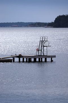Neem een duik in Trosa, Zweden van Imladris Images