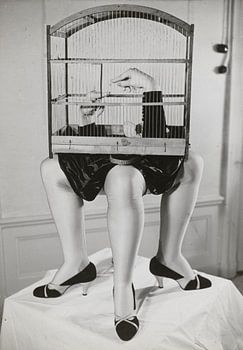 Füttere den Vogel, 1938