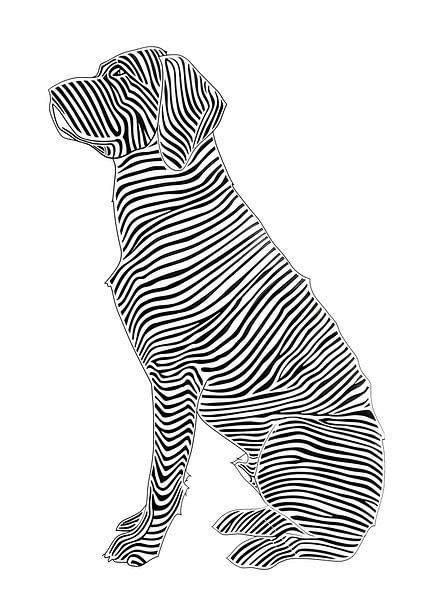 Lines art animal dog by JBJart Justyna Jaszke