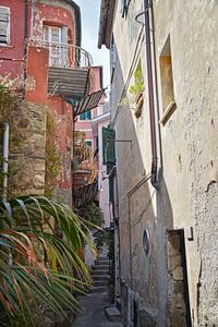 Straatje in Vernazza, Cinque Terre van Kramers Photo