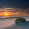 Dunes de plage Paal 15 Texel herbe marrame beau coucher de soleil sur Texel360Fotografie Richard Heerschap