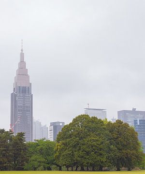 NTT Docomo Yoyogi Building - Tokio (Japan) van Marcel Kerdijk