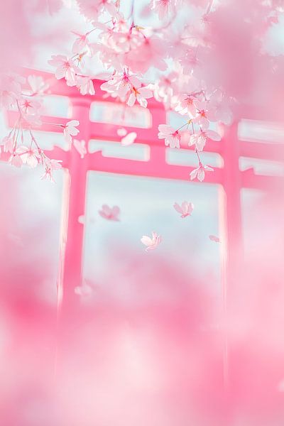 Kirschblütenzauber von Poster Art Shop