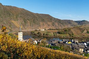 Bremm, Mosel, Rheinland-Pfalz, Deutschland