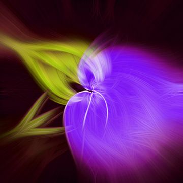 Flower of light. Abstract geometric colorful art in purple and yellow by Dina Dankers