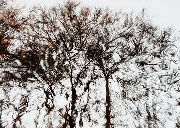 Bomen in reflectie van Jeannet Zwols  Fotografie