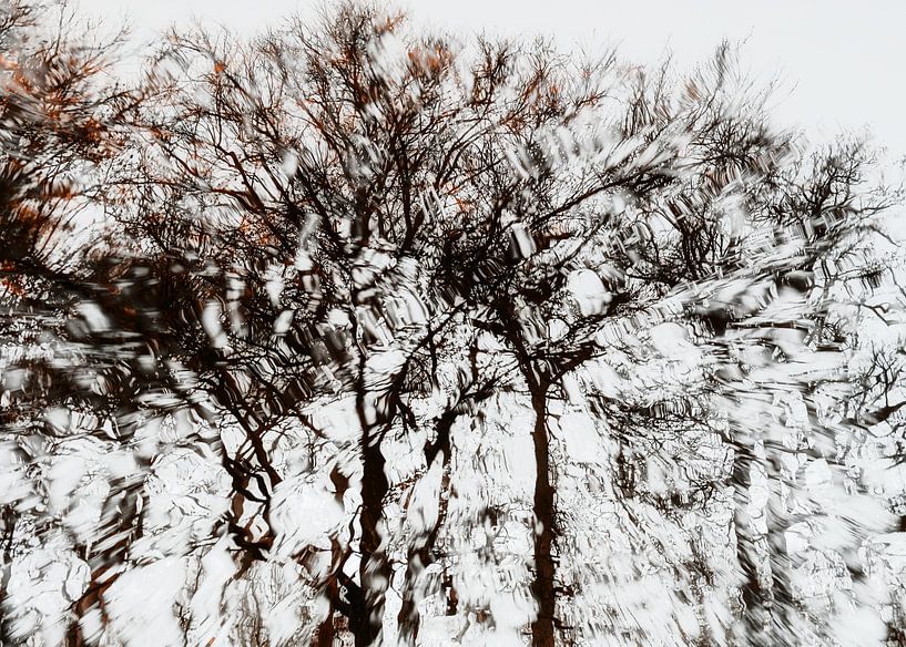 Bäume in Reflexion von Jeannet Zwols  Fotografie
