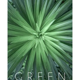 Green 07 von Christian Müringer