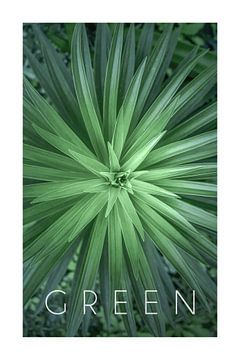 Green 07