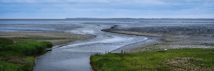 Blick auf das Wattenmeer bei dem Weiler Zwarte Haan von Eddy Westdijk