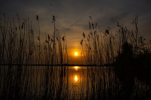 zonsondergang aan het water