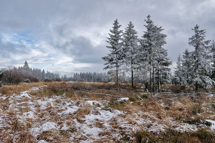 Winterlandschap op de Hoge Venen van Rik Verslype