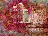 romantic window