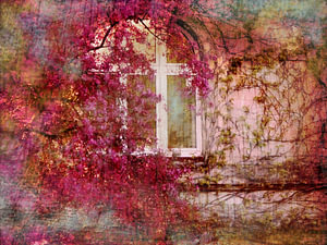 romantisches Fenster mit Blättern umrankt