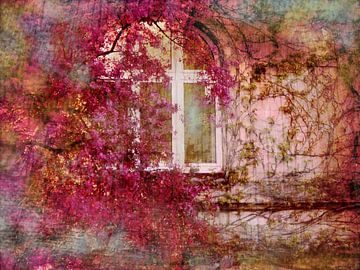 romantisches Fenster mit Blättern umrankt von Claudia Gründler