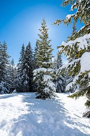 Filzmoos, Österreich von Jordy Kortekaas