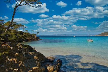 Lonely bay on the Ile de Porquerolles in southern France by Tanja Voigt