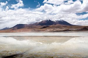 Boliva : hautes montagnes des Andes