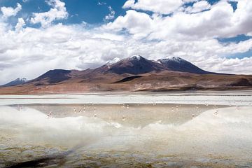 Boliva : hautes montagnes des Andes sur Jelmer Laernoes