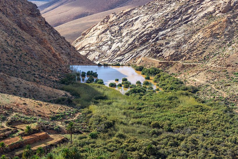 Volcanic landscape on the island of Fuerteventura by Reiner Conrad