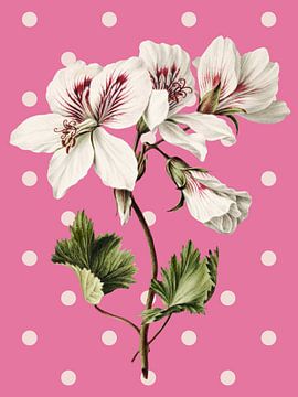 Nature on Pink sur Marja van den Hurk