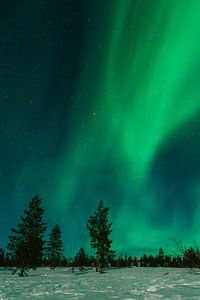 Aurores boréales en Laponie finlandaise | Cercle arctique, Finlande sur Suzanne Spijkers