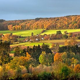 Couleurs d'automne dans la vallée de la Geul près d'Epen, Pays-Bas. sur Frans Lemmens