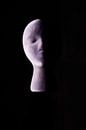 Step into the light van Tom Van den Bossche thumbnail