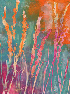 Orange Pink und Türkis in der Wiese