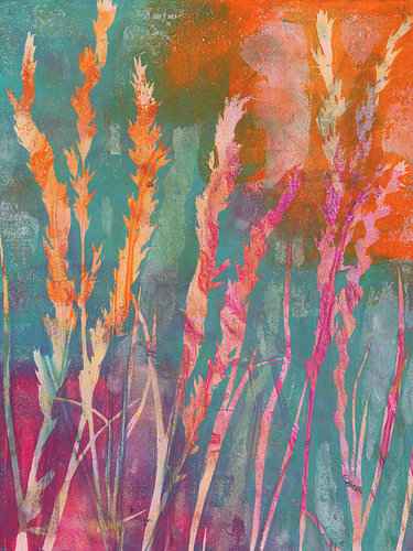 Orange Pink und Türkis in der Wiese von Karen Kaspar