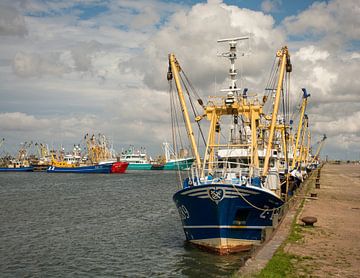 Visserskotters in de haven van Lauwersoog van scheepskijkerhavenfotografie
