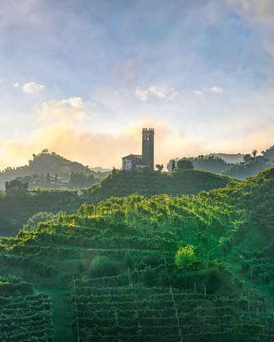 Les vignobles de Prosecco Hills et l'église de San Lorenzo