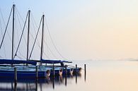 Erste Frühlingssonnenstrahlen - Leekstermeer, Niederlande von Niels Heinis Miniaturansicht