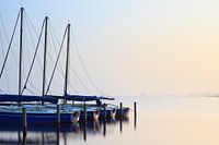 Erste Frühlingssonnenstrahlen - Leekstermeer, Niederlande