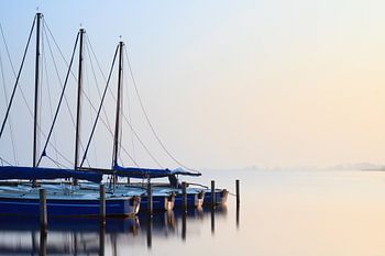 Premiers rayons de soleil du printemps - Leekstermeer, Pays-Bas